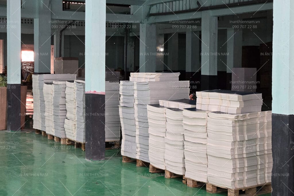 Các lĩnh vực hoạt động