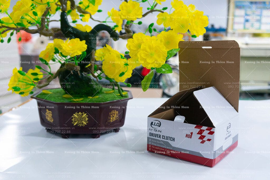 In hộp cứng hộp carton