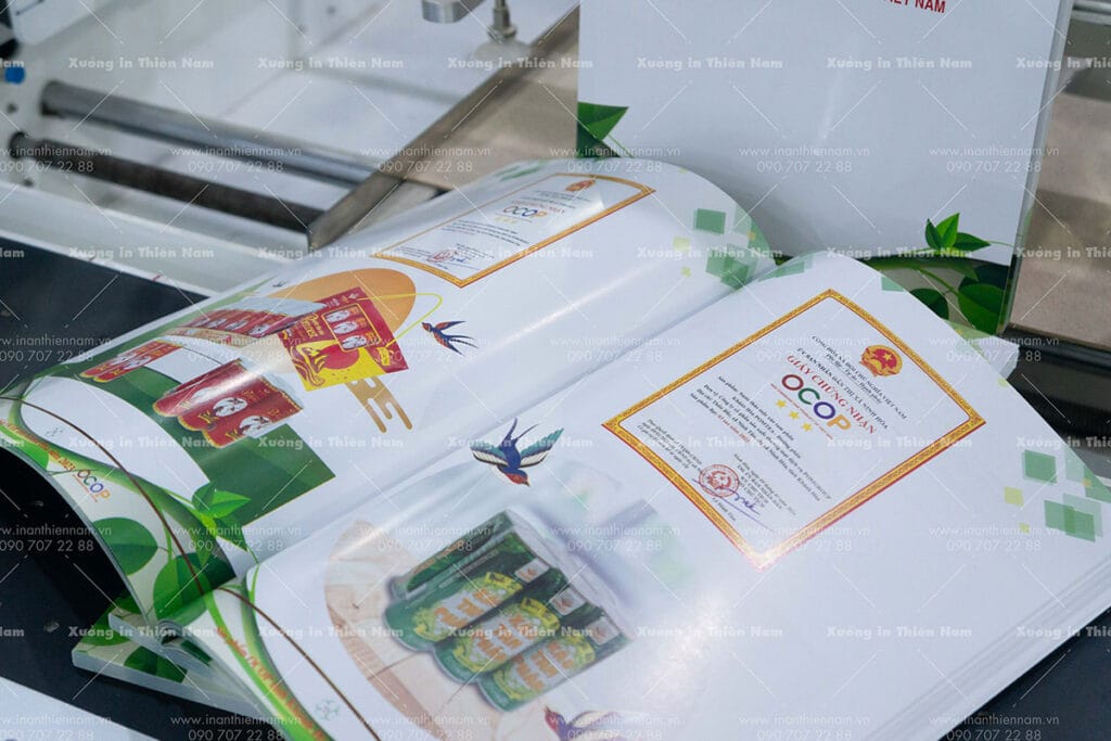 In nhanh catalogue lấy liền