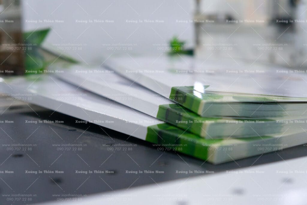 Catalogue may chỉ keo gáy