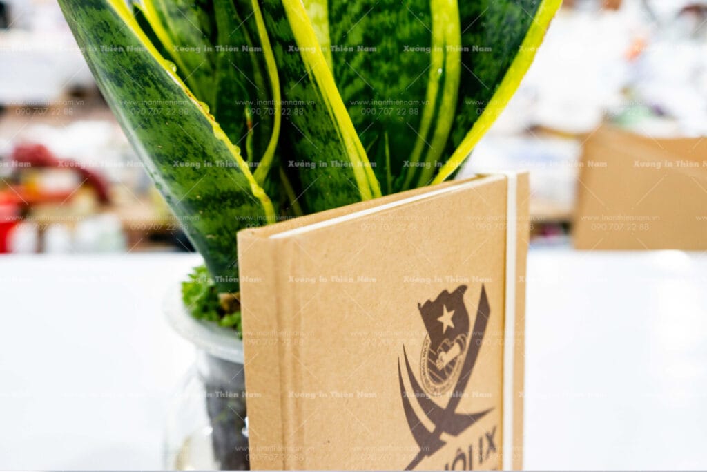 Sách keo gáy may chỉ Thiên Nam