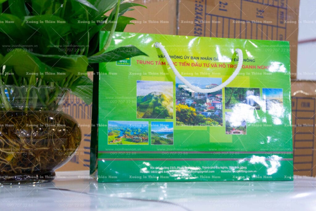Túi giấy cán bóng